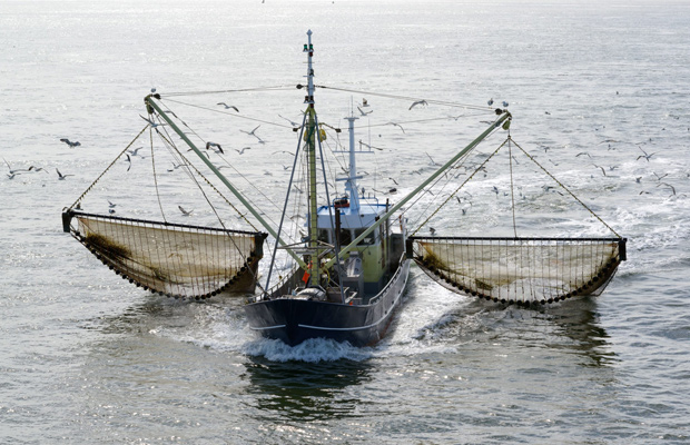 Nueva Esparta: Alertan que el precio del combustible afectará la pesca de altura