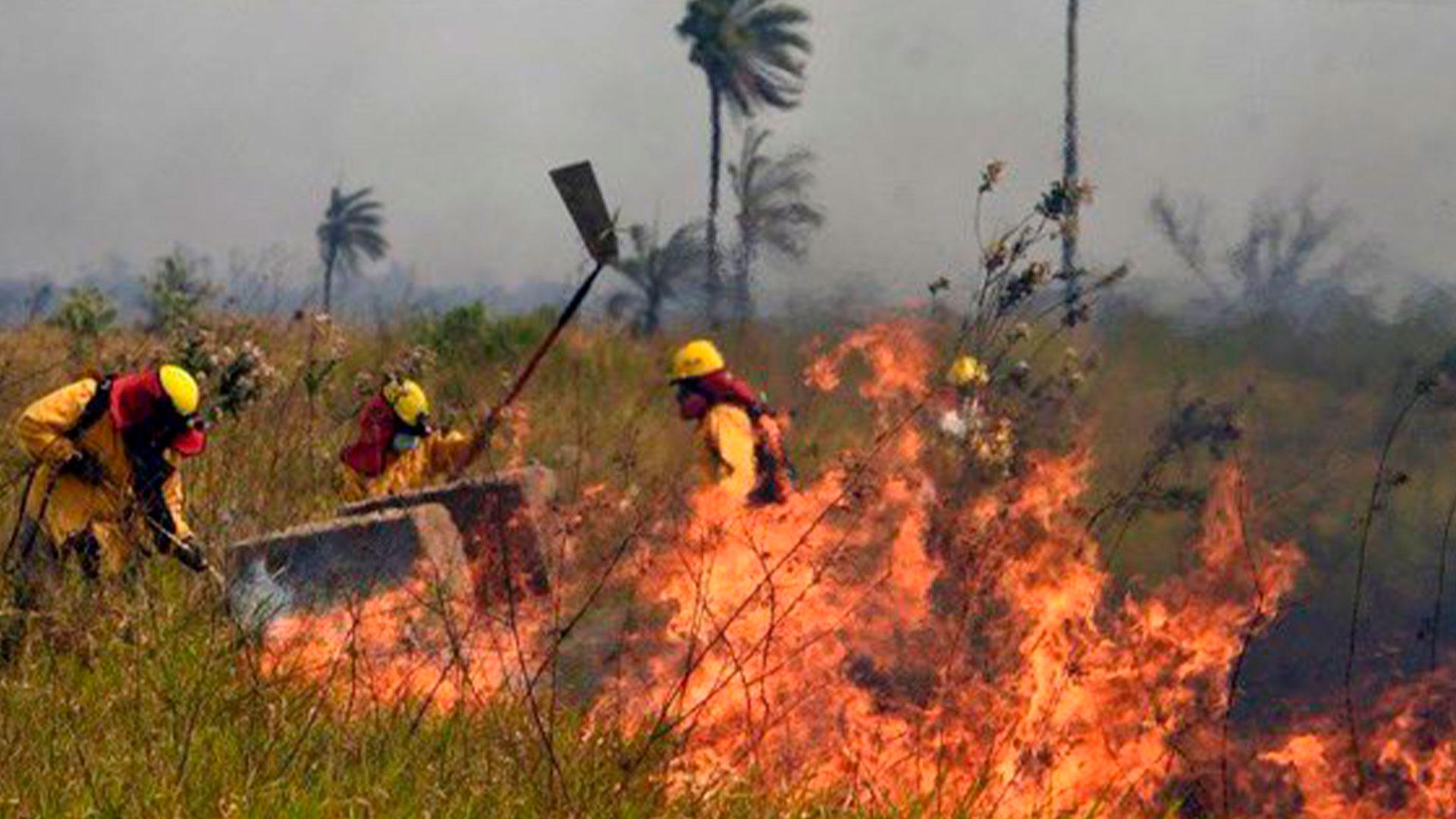 70 bomberos venezolanos se unen para combatir incendios en Bolivia