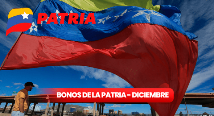 Bonos de la Patria: estos subsidios llegan con aumento para diciembre 2023
