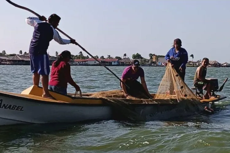 Pescadores de la isla de Coche enfrentan dificultades en pesca de sardina