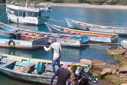 Baja producción de sardina preocupa a Pescadores Margariteños