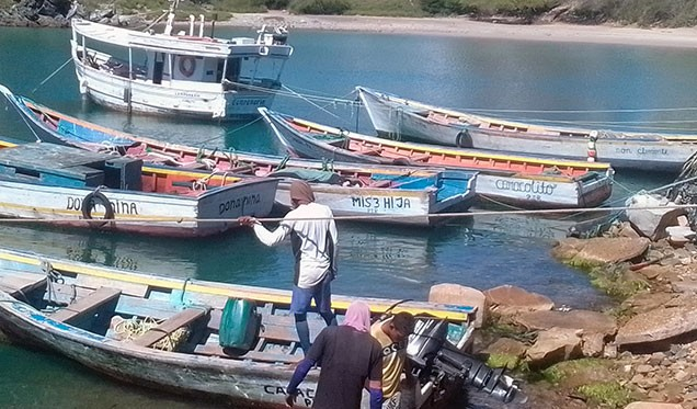 Baja producción de sardina preocupa a Pescadores Margariteños