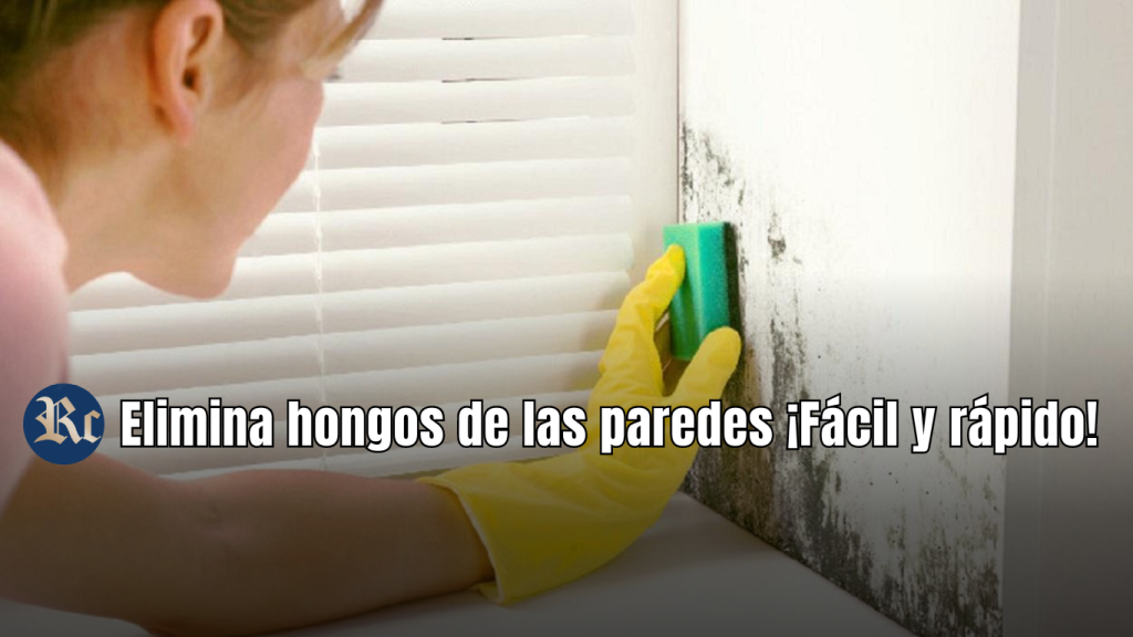 Elimina hongos de las paredes ¡Fácil y rápido!