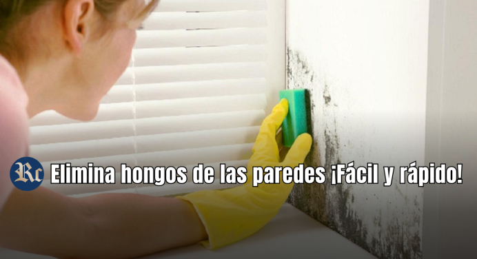 Elimina hongos de las paredes ¡Fácil y rápido!