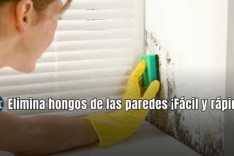 Elimina hongos de las paredes ¡Fácil y rápido!