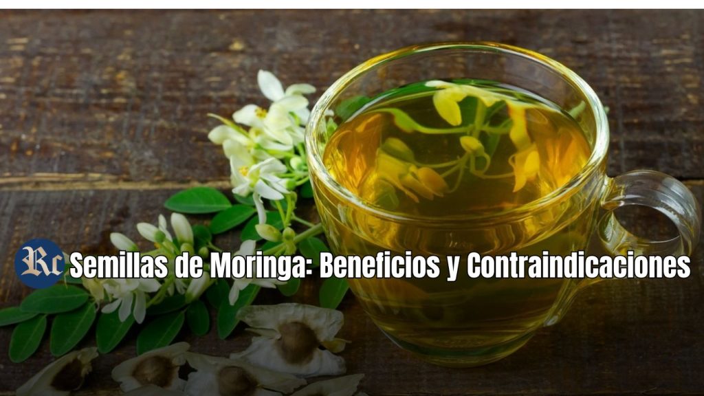 Semillas de Moringa: Beneficios y contraindicaciones