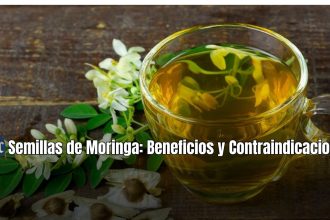 Semillas de Moringa: Beneficios y contraindicaciones