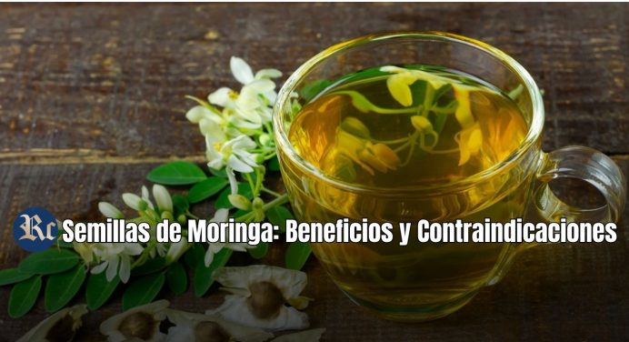 Semillas de Moringa: Beneficios y contraindicaciones