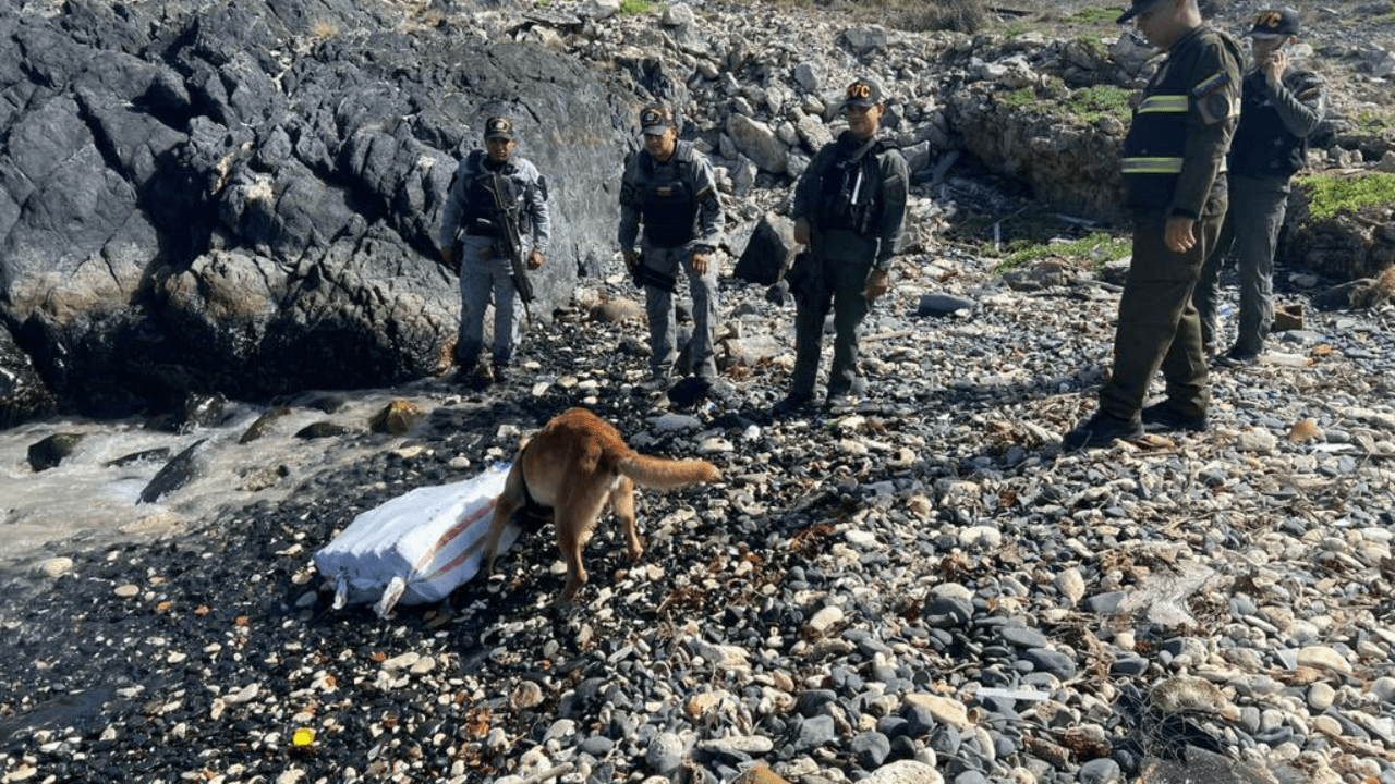 FANB incauta casi 35 kilos de marihuana en el archipiélago de Los Roques