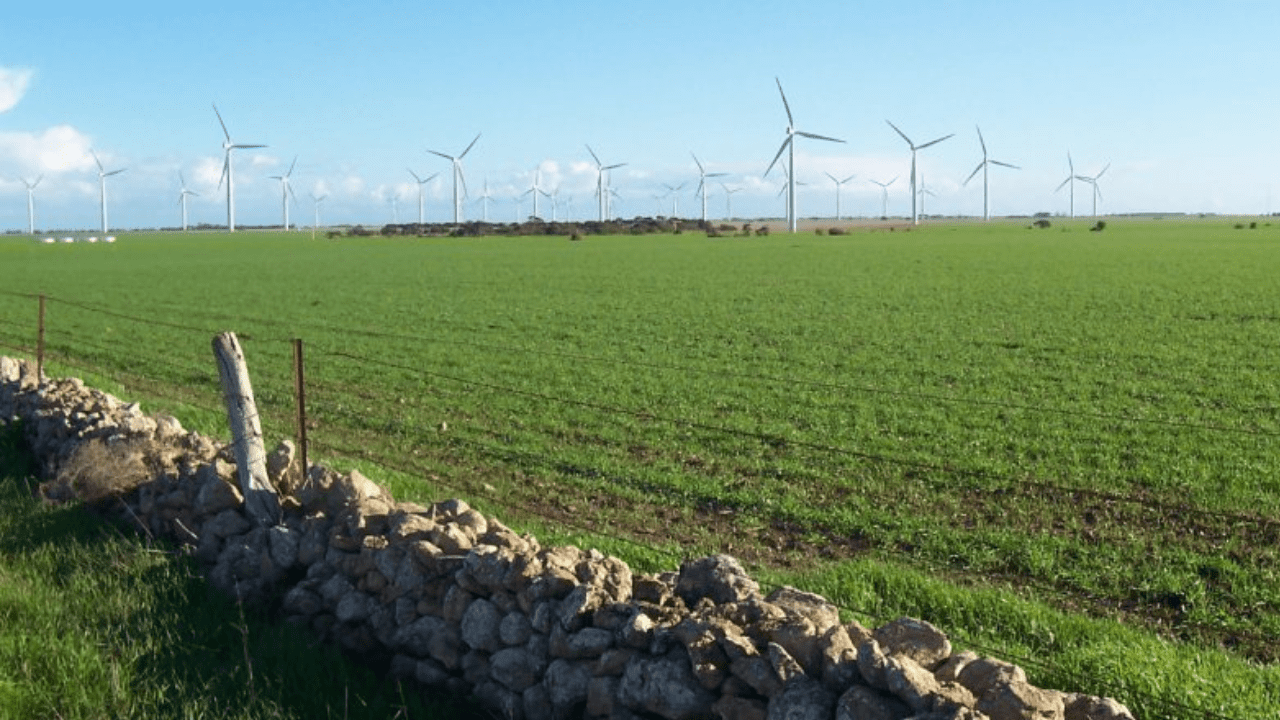 Fedeagro presenta un sólido plan de reforestación para combatir los desafíos del cambio climático