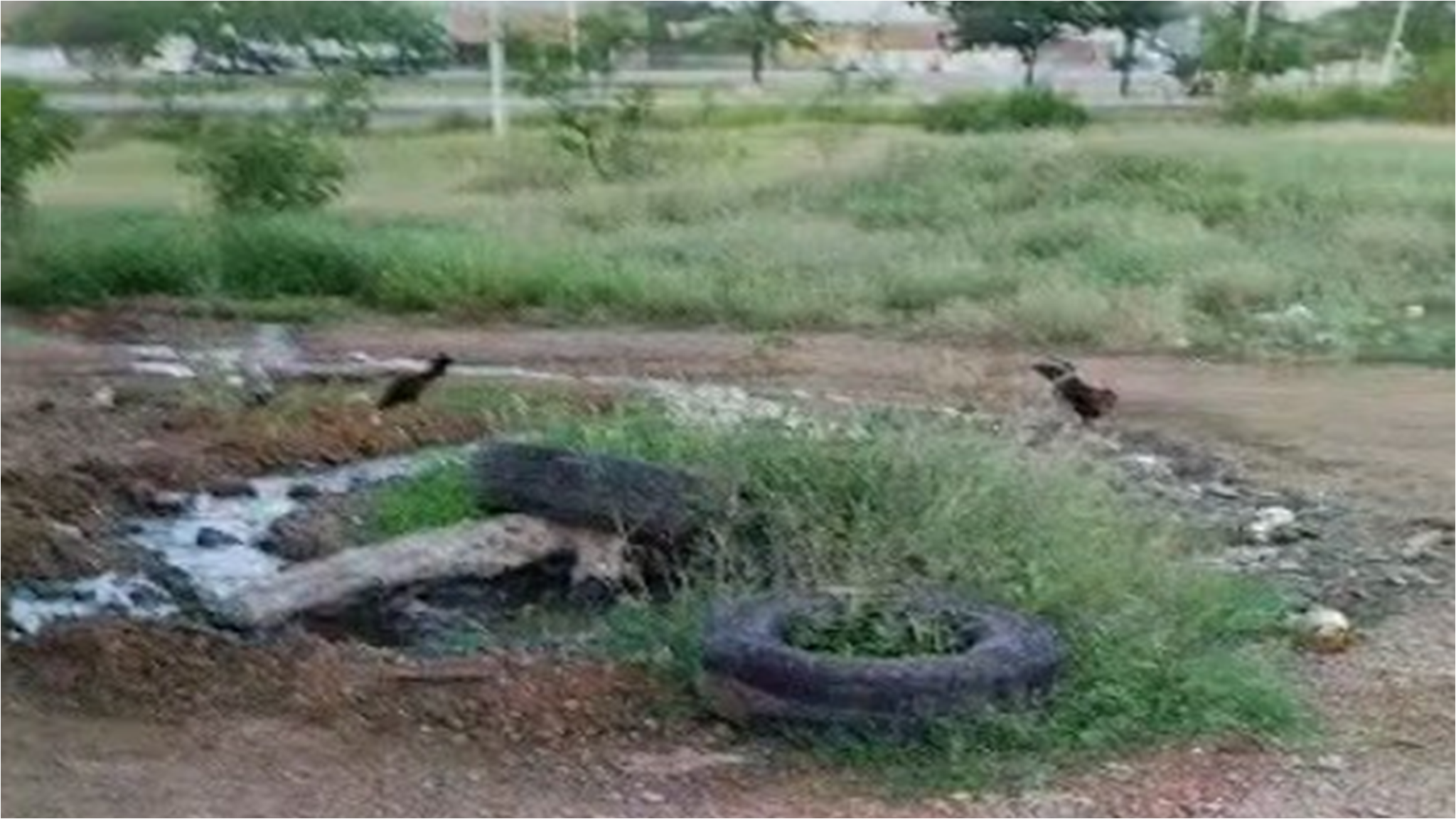 Desbordamiento de Aguas Servidas en Urb Villa Rosa