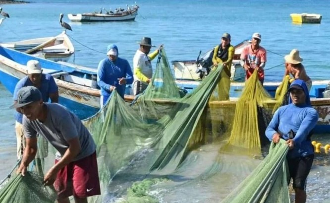 Logran reactivar la actividad pesquera y marítima en Nueva Esparta