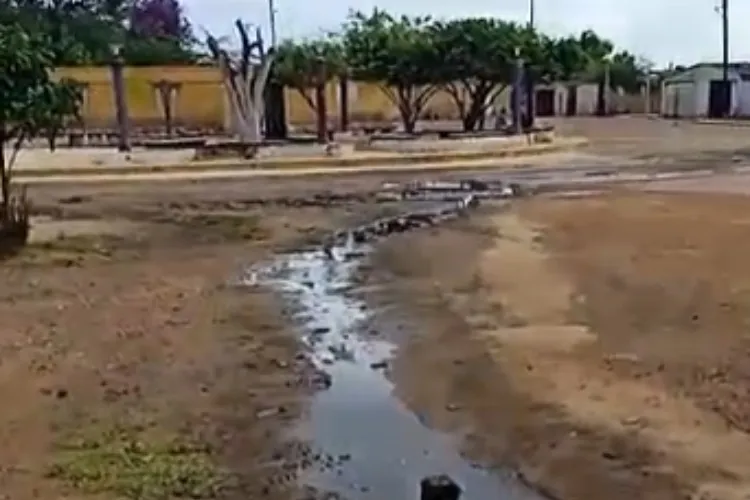 Aguas negras se desbordan en todos los pueblos de la isla de Coche