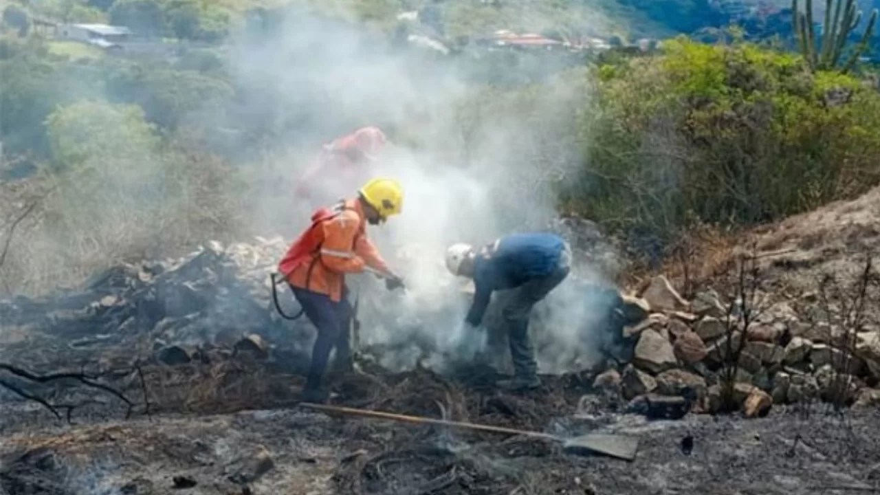 Más de 100 hectáreas arrasadas por los incendios en Táchira