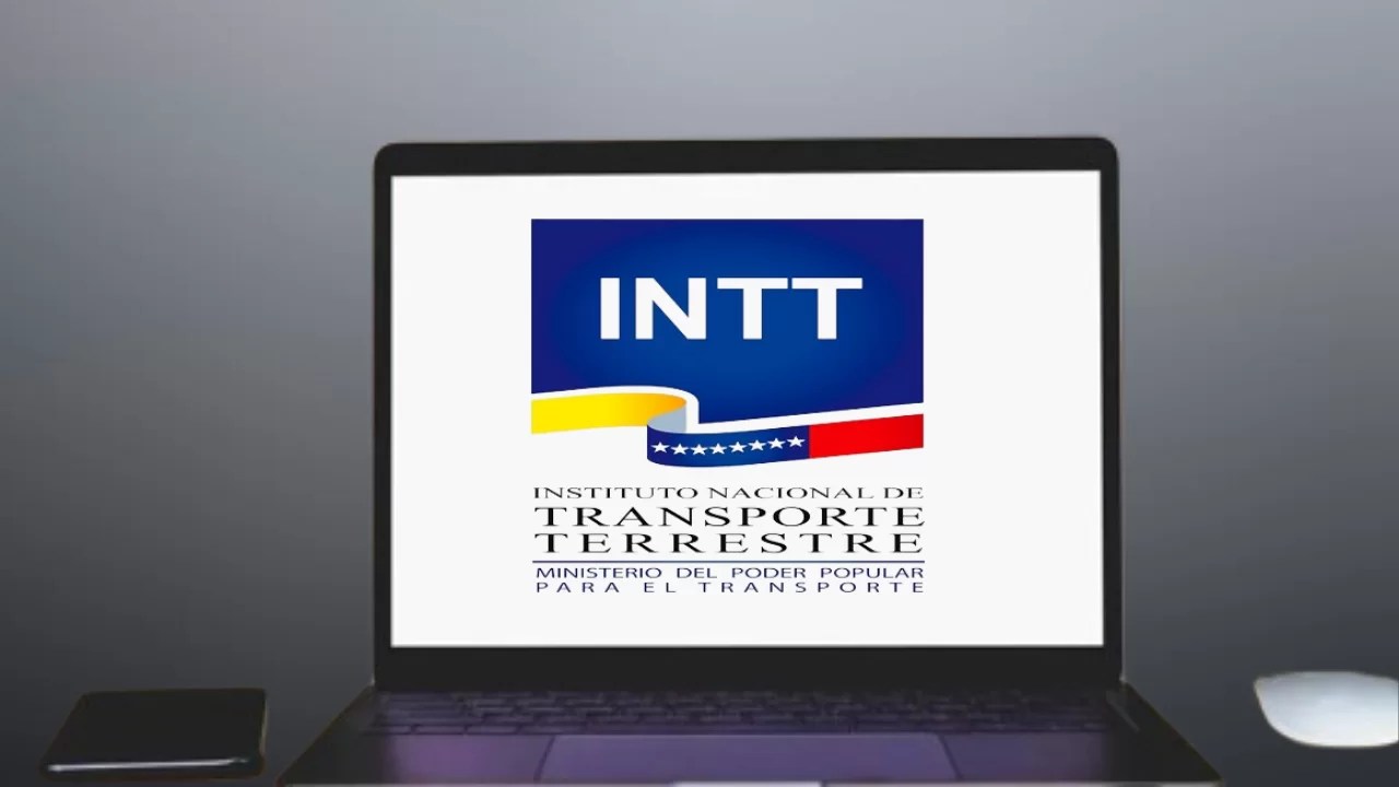 Trámites del INTT: Descubre aquí cuáles puedes realizar de forma presencial y online