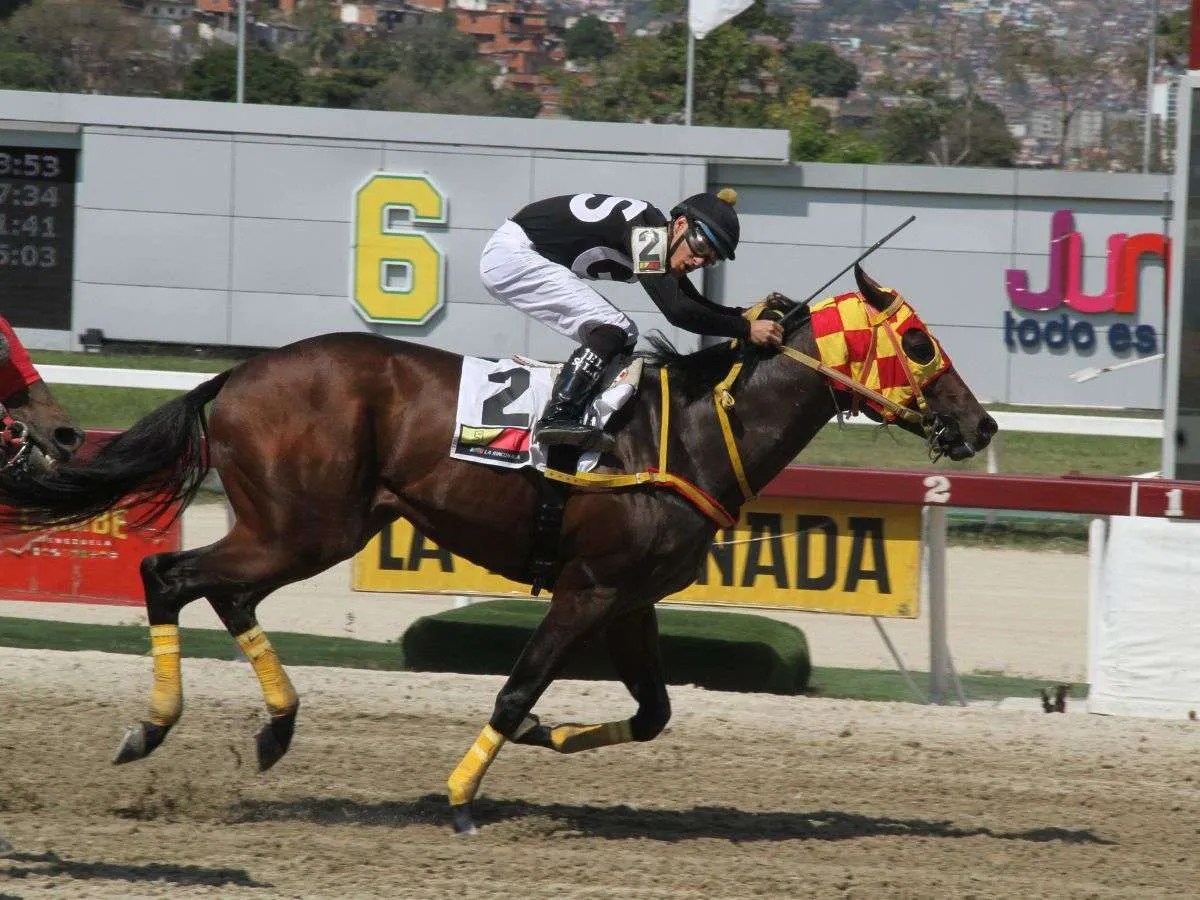 Gran Sabanero gana la Condicional de los caballos.