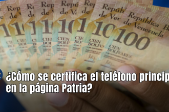 Los Bonos de Guerra Económica se verán reflejados en el Sistema Patria, por lo que el Monedero Patria deberá ser revisado, para saber el saldo total que tienes.