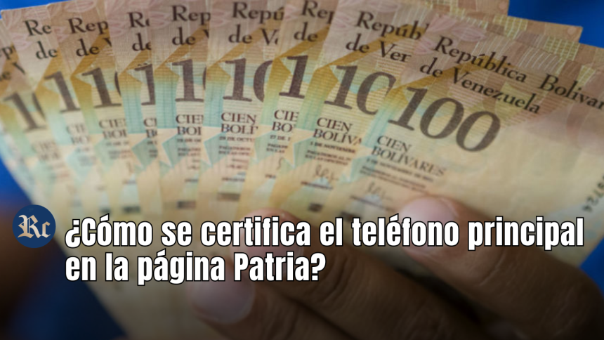 Los Bonos de Guerra Económica se verán reflejados en el Sistema Patria, por lo que el Monedero Patria deberá ser revisado, para saber el saldo total que tienes.