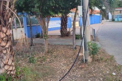 Vecinos de Palguarime denuncian vandalismo en la comunidad