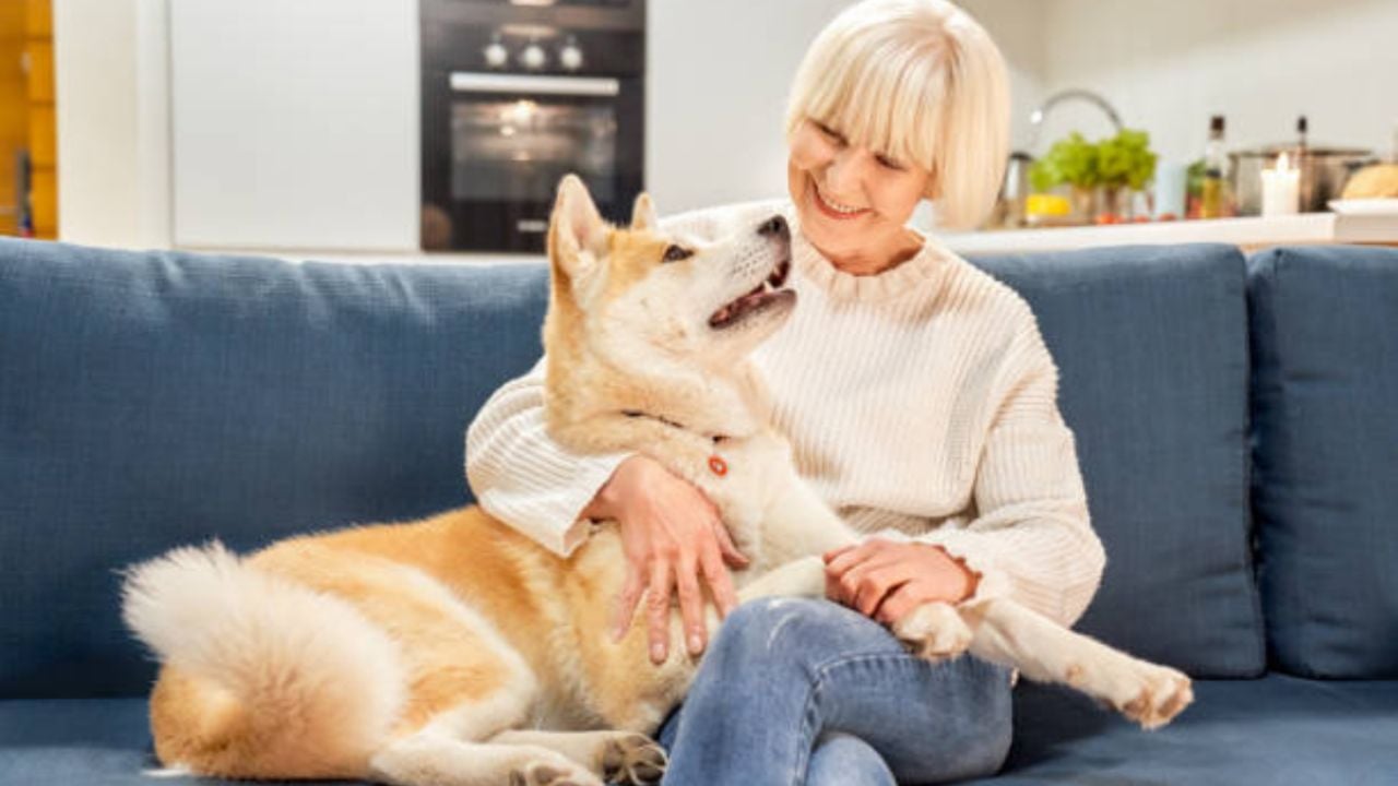 Los beneficios que nuestros abuelos experimentarán al adoptar a un perro