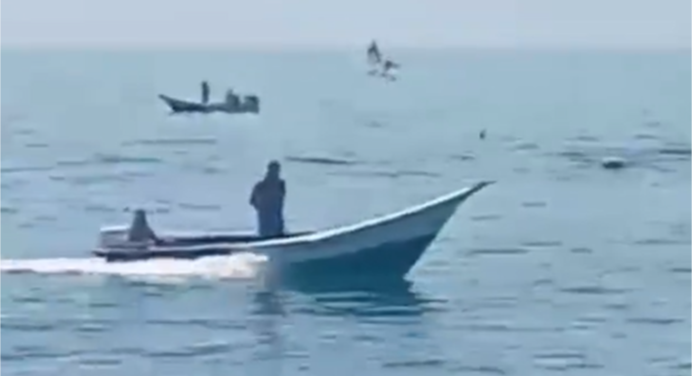 Pescadores de Pampatar avistan manada de delfines +Video