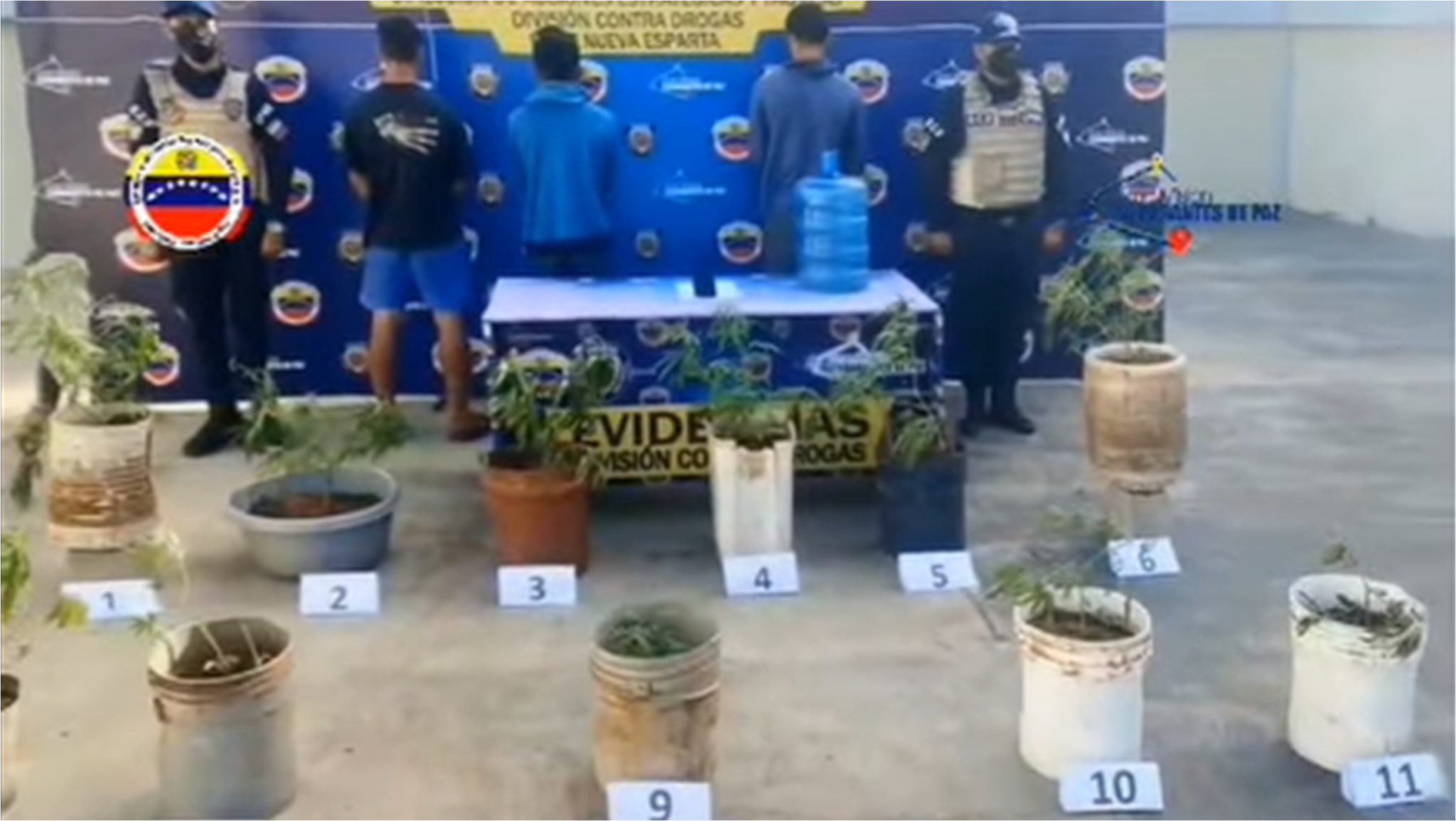 Margarita: Capturan tres sujetos por drogas en Playa el Agua