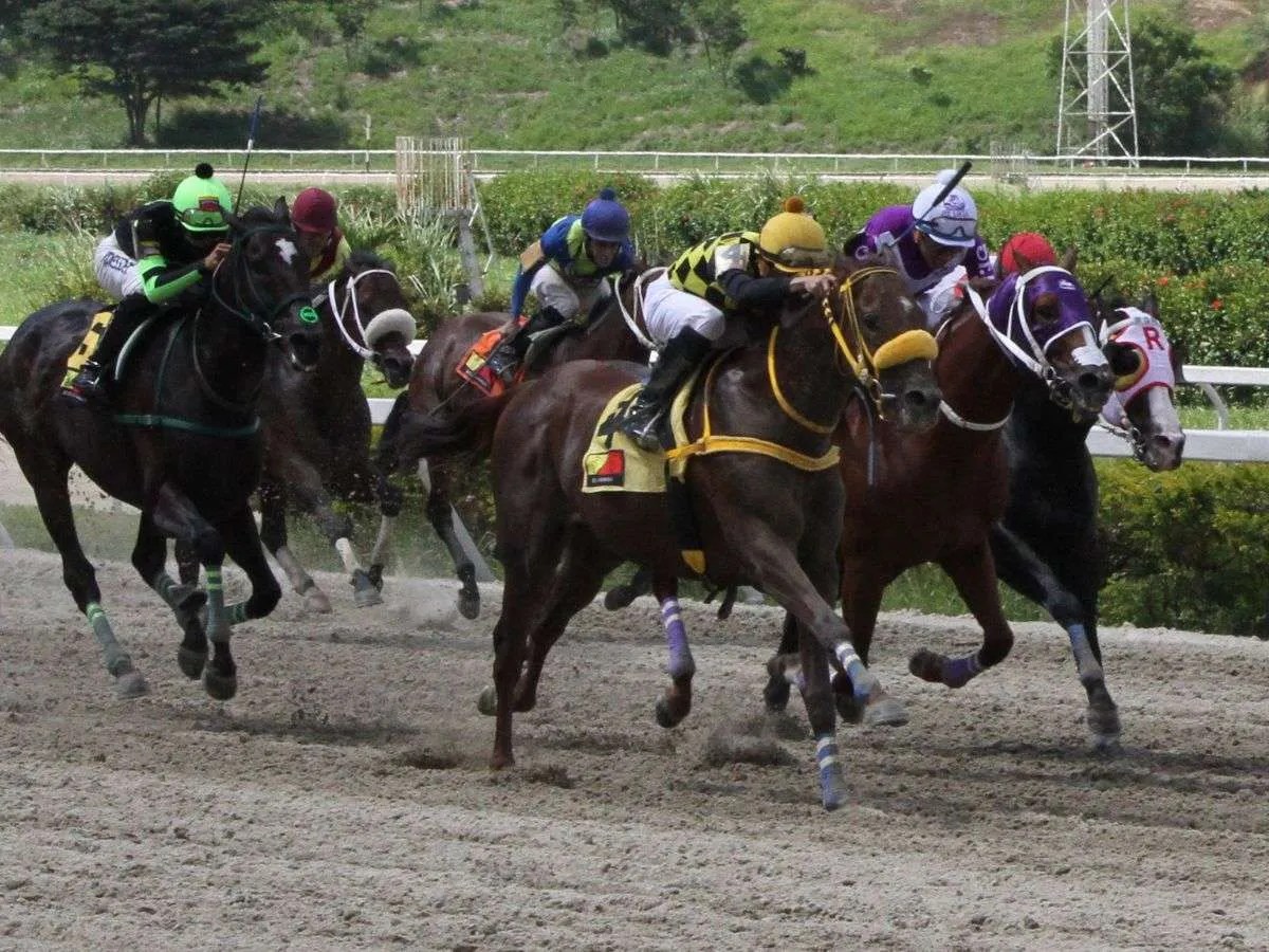 Resultados de La Rinconada: Análisis y Resumen