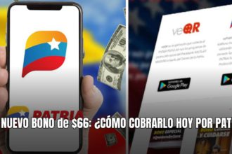 NUEVO BONO de $66: ¿CÓMO COBRARLO HOY POR PATRIA?