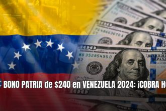 BONO PATRIA de $240 en VENEZUELA 2024: BENEFICIARIOS + ÚLTIMAS NOTICIAS