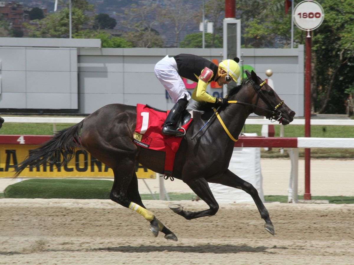 Turbinada impresionó en el Eduardo Larrazábal