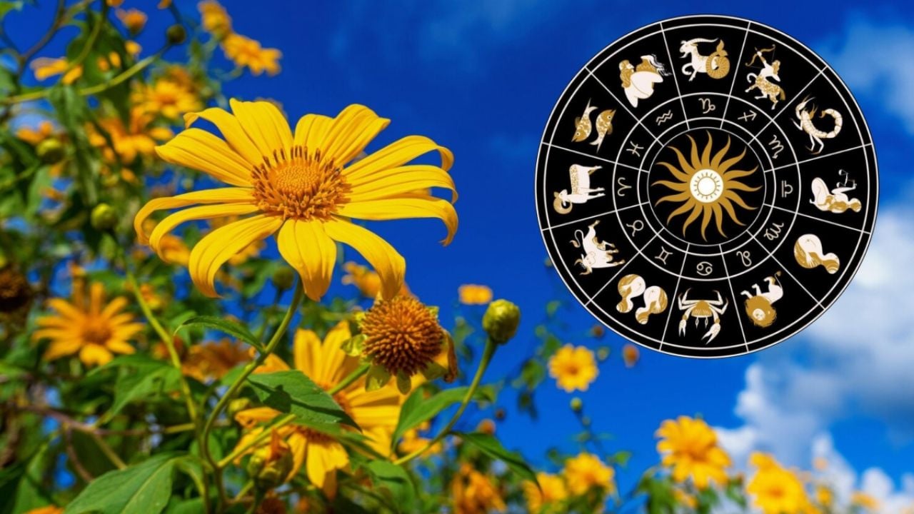 ¿Cómo influirá el equinoccio de primavera en tu signo zodiacal?