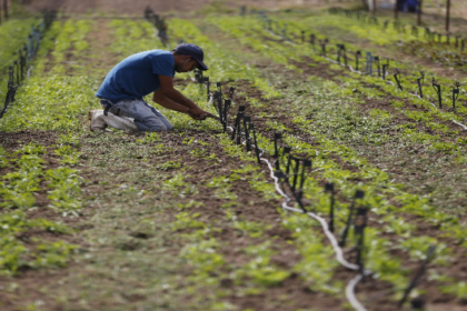 Condenan a un agricultor por intento de violación en contra de su vecina