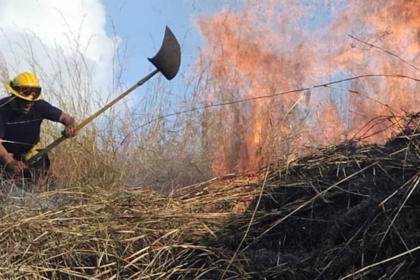 Incendio forestal consume varias hectáreas del Henri Pittier