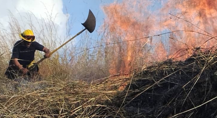 Incendio forestal consume varias hectáreas del Henri Pittier