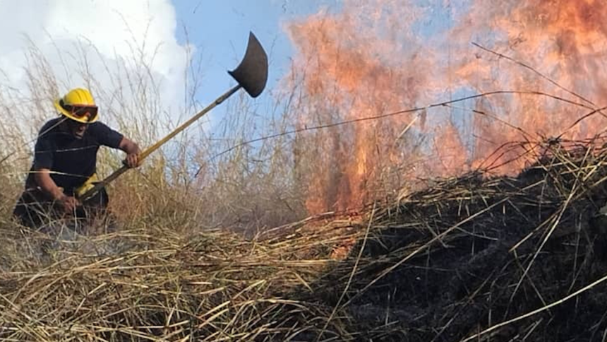 Incendio forestal consume varias hectáreas del Henri Pittier