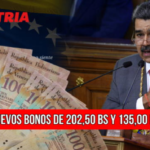 De manera mensual, el Gobierno de Venezuela entrega bonos patria a los adultos mayores, estudiantes, jefes del hogar, trabajadores públicos, entre otros.