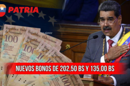 De manera mensual, el Gobierno de Venezuela entrega bonos patria a los adultos mayores, estudiantes, jefes del hogar, trabajadores públicos, entre otros.