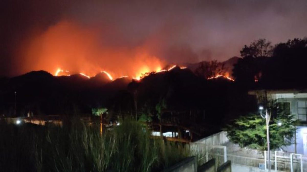 Emergencia por incendio forestal en el parque nacional Henri Pittier de Aragua