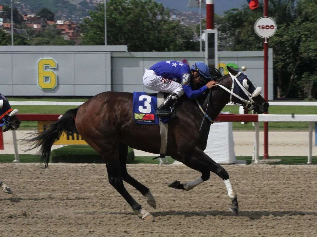 Sun Classic busca la foto en la Copa Mundo Hípico