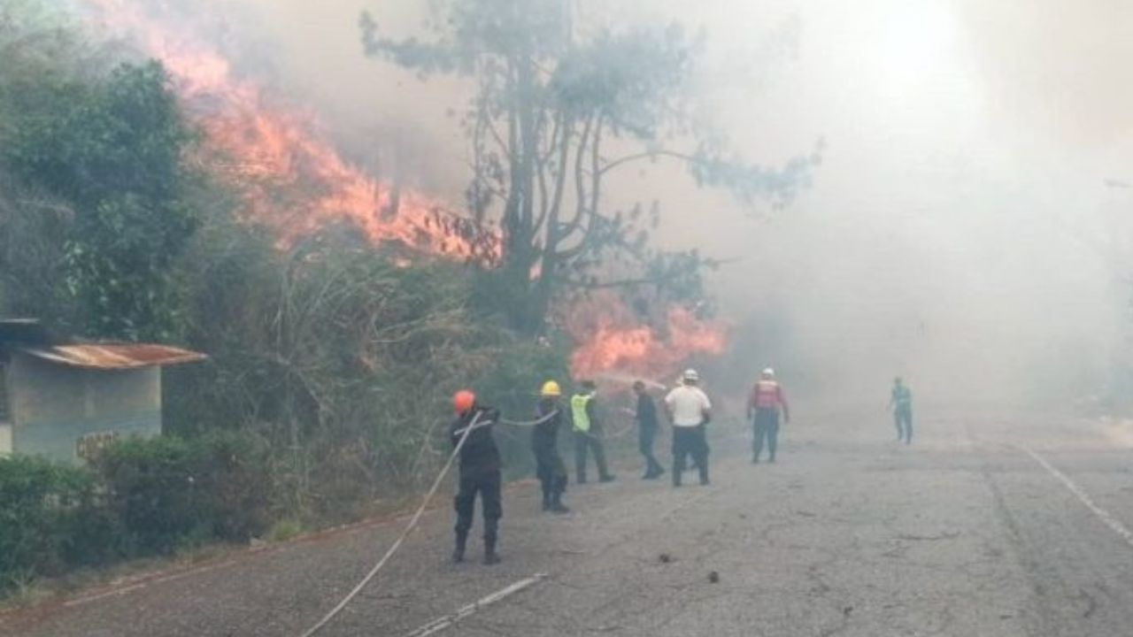 Despliegan equipo de bomberos ante reportes de incendios forestales en Falcón