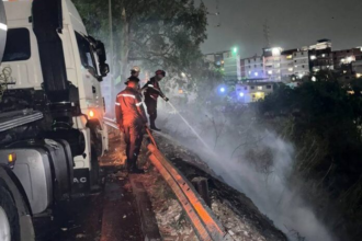 Detenidas 16 personas por incendios forestales en Caracas y Miranda