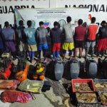 Detenidos por captura ilegal de 450 Pepinos de Mar en Nueva Esparta