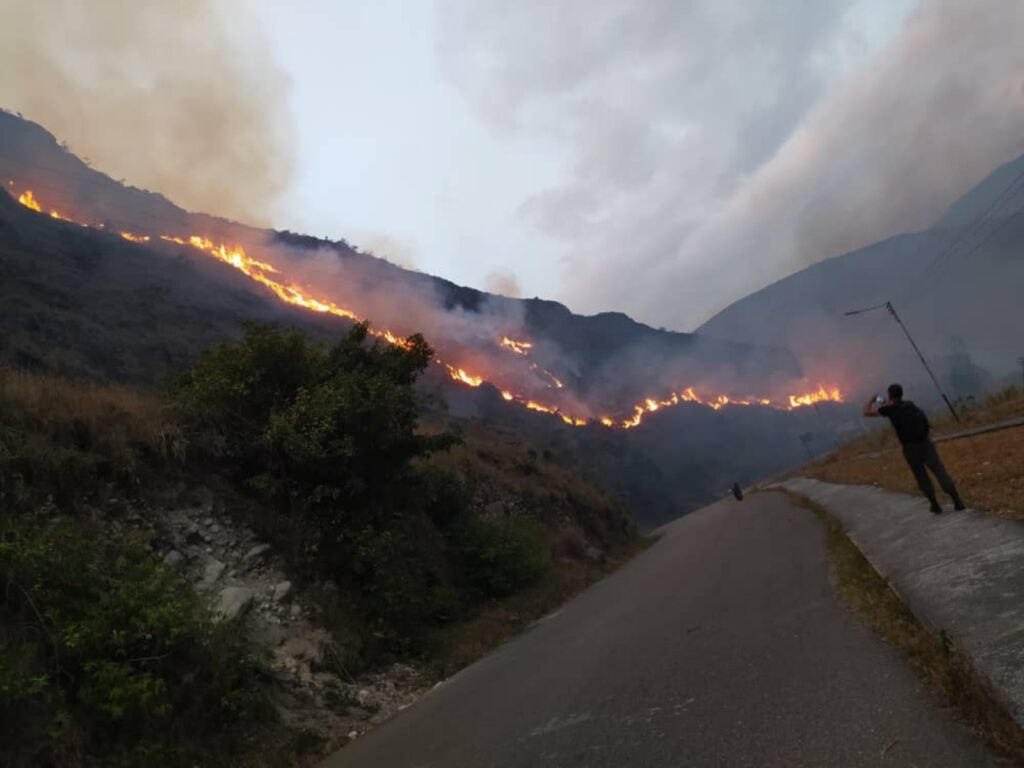 Más de 60 mil hectáreas arrasadas por 3 mil incendios en todo el territorio nacional