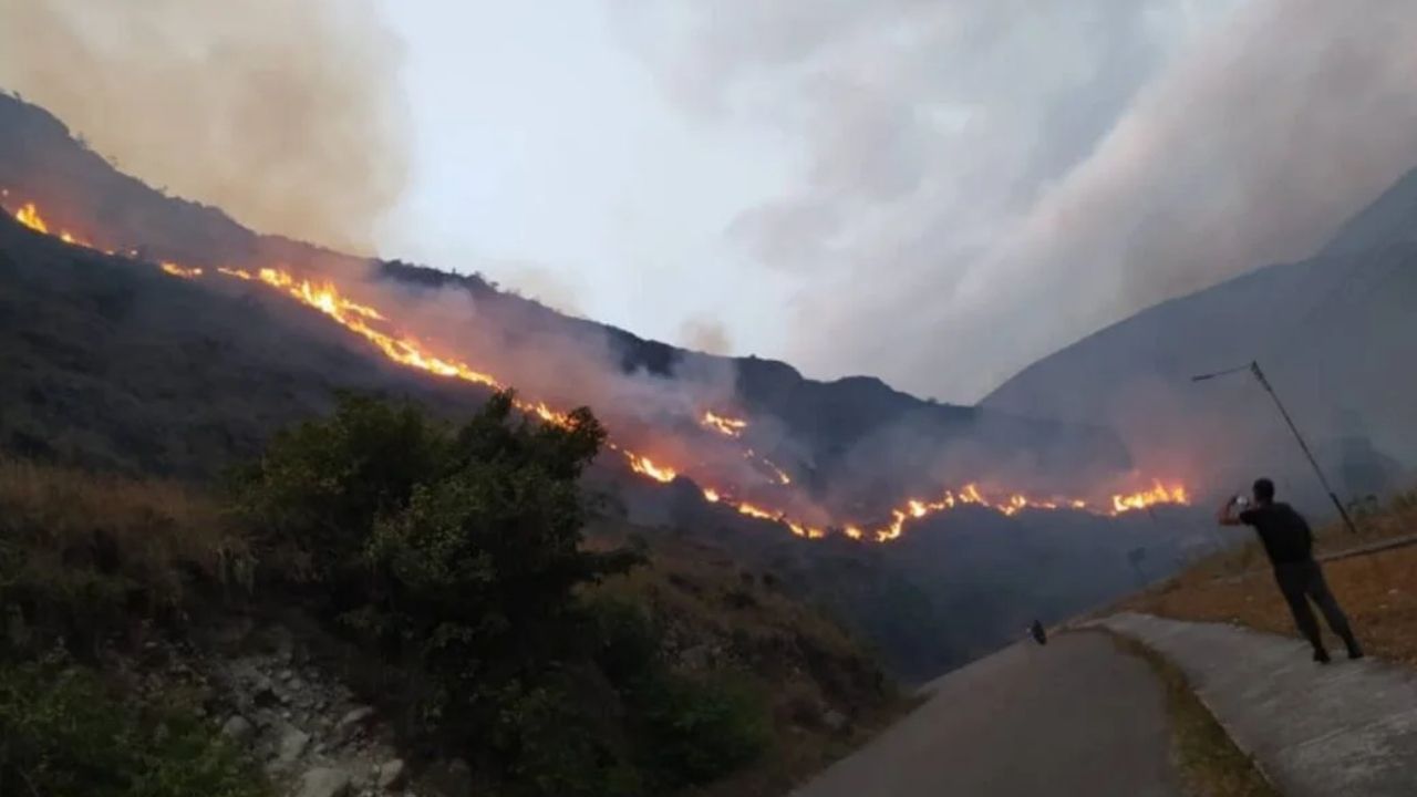 Más de 60 mil hectáreas devastadas por al menos tres mil incendios en territorio nacional.