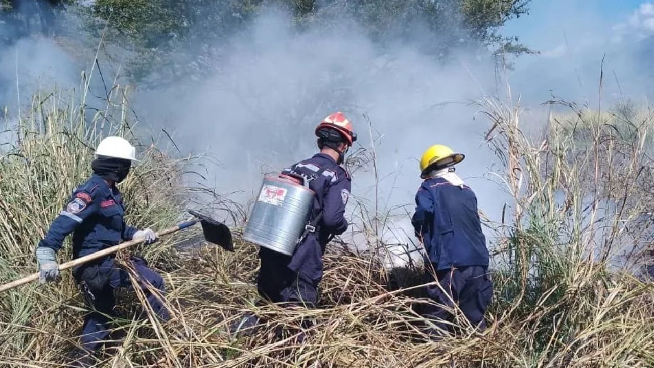 290 incidentes de fuego reportados en Mérida en los últimos días