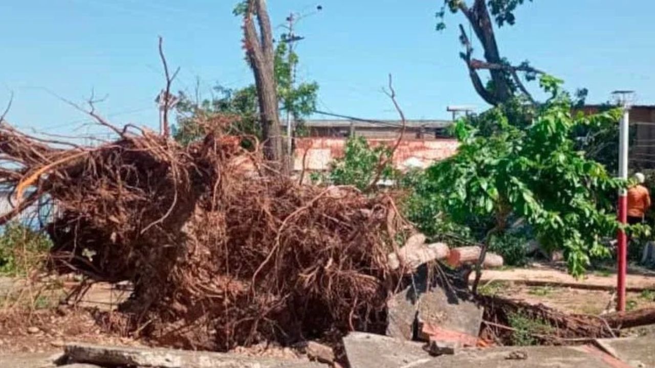 Trujillo con inundaciones en cinco municipios por lluvias intensas