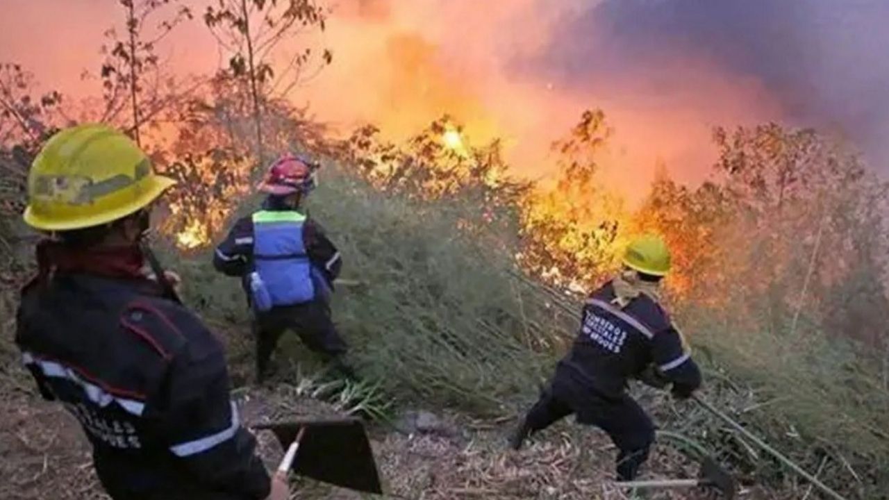 En menos de una semana, Venezuela reporta más de 40 incendios forestales.