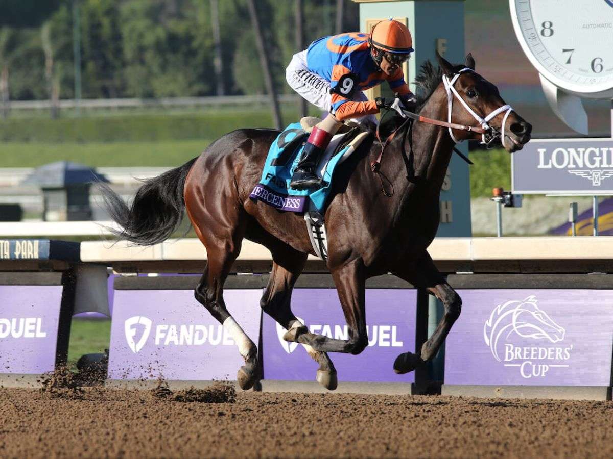 Pletcher anotará a Fierceness y Antiquarian en el Belmont