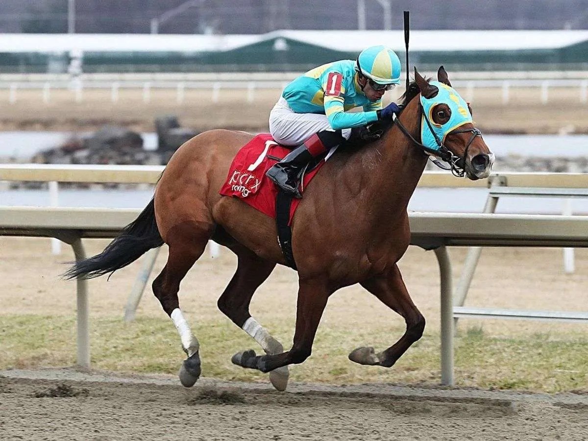 Mychel Sánchez domina el meeting de Parx Racing