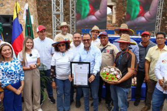 Luis Rodríguez, es productor de Ají dulce oriundo del sector Guacuco municipio Arismendi, ha seguido el camino de la agricultura desde hace 40 años cultivando una de las mejores semillas de generación en generación